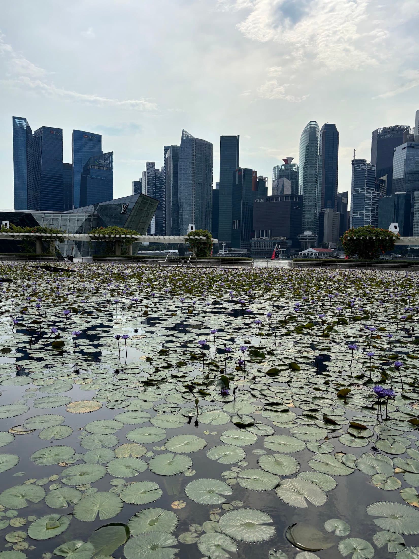 Malaysia in Bloom